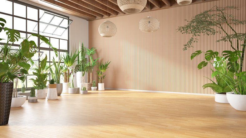 The Importance of a Serene Environment: How to Create a Peaceful Sanctuary for Your Life - Serenevi