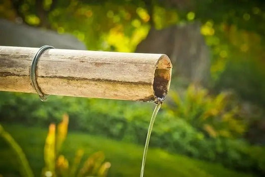 The Serene Power of Bamboo: Enhancing Meditation and Asian Cultural Practices - Serenity Factory