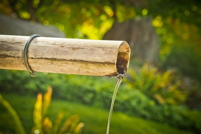 The Serene Power of Bamboo: Enhancing Meditation and Asian Cultural Practices - Serenevi